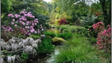 Photo of Jardins ingleses