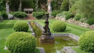 Photo of Jardim italiano
