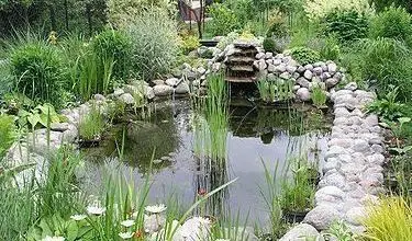 Photo of Jardim com água