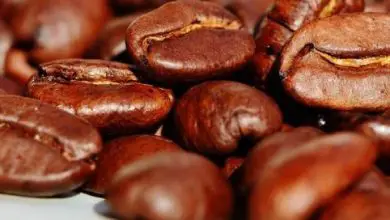 Photo of 7 truques para reutilizar café: Benefícios do café no jardim