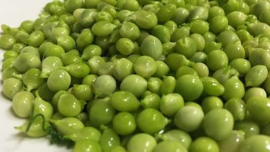 Photo of Pea rasgo: Porque é que o Caviar Green do jardim?