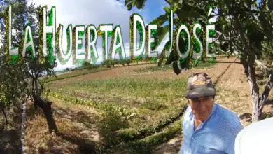 Photo of Um jardim tradicional: JOSEPH visitar La Huerta