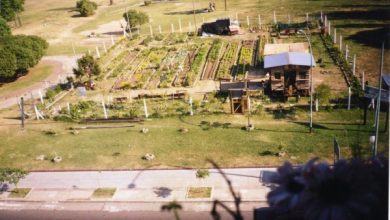 Photo of Jardins urbanos em Buenos Aires. A agricultura urbana na Argentina