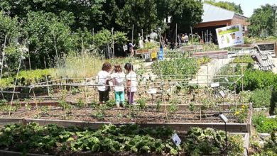 Photo of métodos de controle de pragas e doenças em jardins orgânicos