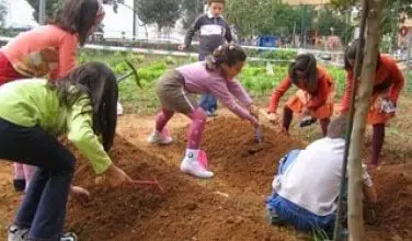 Photo of projeto de horta escolar educacional
