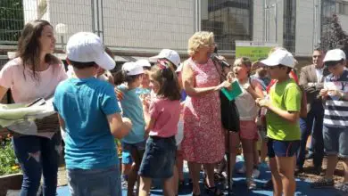 Photo of Primeiro Concurso de Sustainable Escola Gardens Madrid