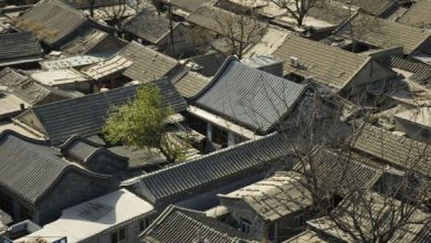 Photo of Pomares em Hutongs. agricultura urbana na China