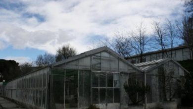 Photo of Aula Verde Botânico Escola Conservatório de Agrônomos de Madrid