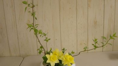 Photo of Ikebana