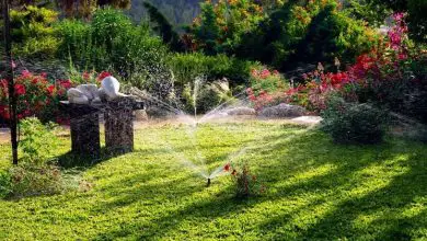 Photo of Sistema de irrigação de jardim