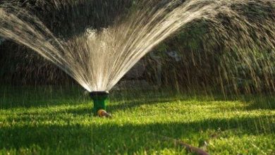 Photo of Sistema de irrigação faça você mesmo