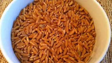 Photo of Kamut trigo: um com Uma vitaminas cereal EM e minerais rica história