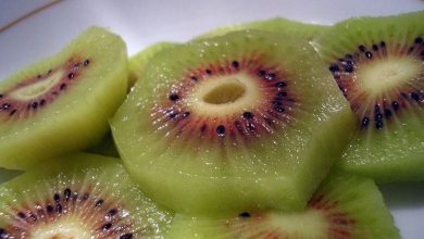 Photo of Cultivo de kiwi