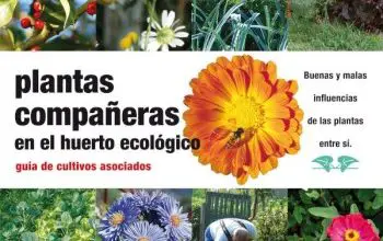 Photo of Sebes para Ecological Garden: Espécie hedges benéficos