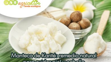 Photo of Manteiga de Karité: o remédio natural para Pelé regenerado, prevenir as estrias, vermelhidão e problemas Pelé