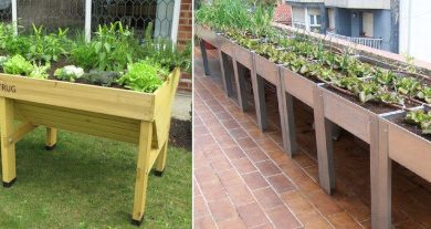 Photo of Jardinagem em um Pátio: como fazer um facilmente