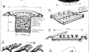 Photo of Permacultura: mulching ou mulching