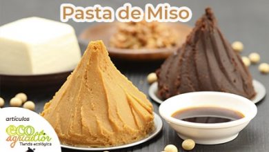 Photo of Miso: ISSO e benéfico? Quais propriedades e ELE TEM lucro líquido para uma Saúde realmente?