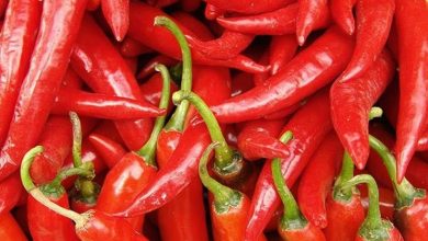 Photo of Peperoncino – Capsicum annuum