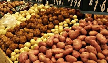 Photo of Plantando batatas