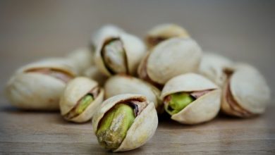 Photo of Como crescer Pistachio: Guia completo no crescimento do Pistachio