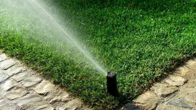 Photo of Projeto de sistema de irrigação