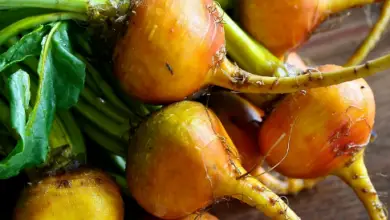 Photo of 10 Razões para comer beterraba, beterraba OU beterraba