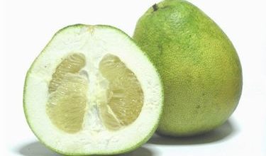 Photo of Pummelo e agrumi minori – Citrus grandis