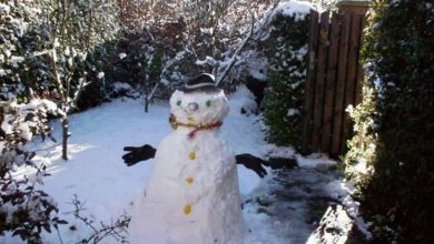 Photo of Boneco de neve