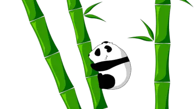 Photo of Como bambu planta: I incluídos guia de [17 + fases IMAGENS]