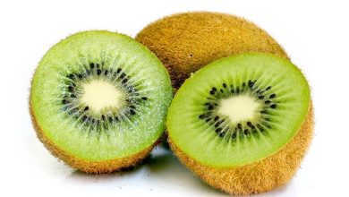 Photo of Colheita de kiwi