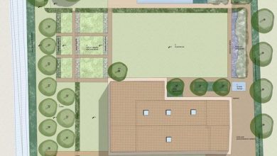 Photo of Construção de jardins