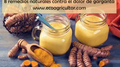 Photo of 8 Remédios Naturais para combater Dores garganta