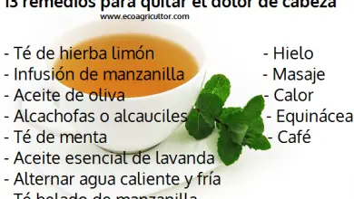 Photo of 19 Remédios Naturais e caseiros para ers Cabeça como Enxaqueca OU Enxaqueca