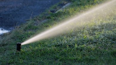 Photo of Regar o jardim: Escolhendo a irrigação tipo | I quando a água | Quanta água