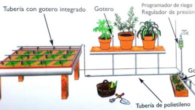 Photo of Irrigação automática por gotejamento: Vantagens e como INSTALLS-lo