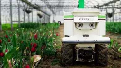 Photo of 8 Melhor robô agrícola para pequenos e grandes jardins