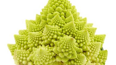 Photo of Romanesco, hum propriedades excelentes planta COM que nao ameixa faltando