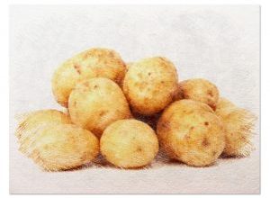 Photo of Fazer compostagem como batata-doce: [QUANDO Fazer ISSO, Necessidades e caseiro Composto]