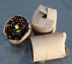 Photo of Ou Canteiros preparando plantas? Taxa Essas Dicas e ideias