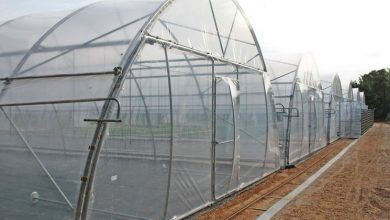 Photo of Preços de estufas para horta