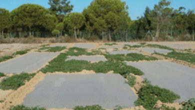 Photo of solarização do solo. desinfecção plástico ecológico