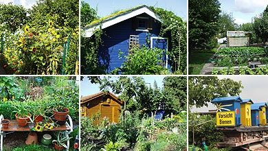 Photo of Horticultura urbana em Berlim. jardins urbanos na Alemanha
