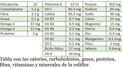 Photo of Couve-flor, propriedades e planta net Deste lucro