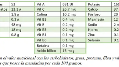 Photo of Tangerina para Defesas como melhorar e prevenir Doenças cardiovasculares