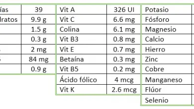 Photo of Pêssego OU pêssego: frutas poder com antioxidante, sistema digestivo e cardiovascular protetor afazeres