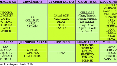 Photo of princípios de NA Rotação agricultura biológica