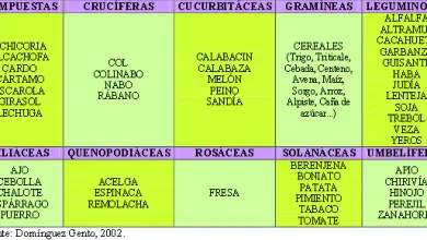 Photo of princípios de NA Rotação agricultura biológica