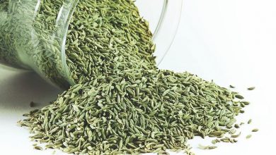 Photo of Chá de ervas com sementes de erva-doce