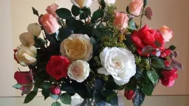 Photo of Vasos com flores falsas